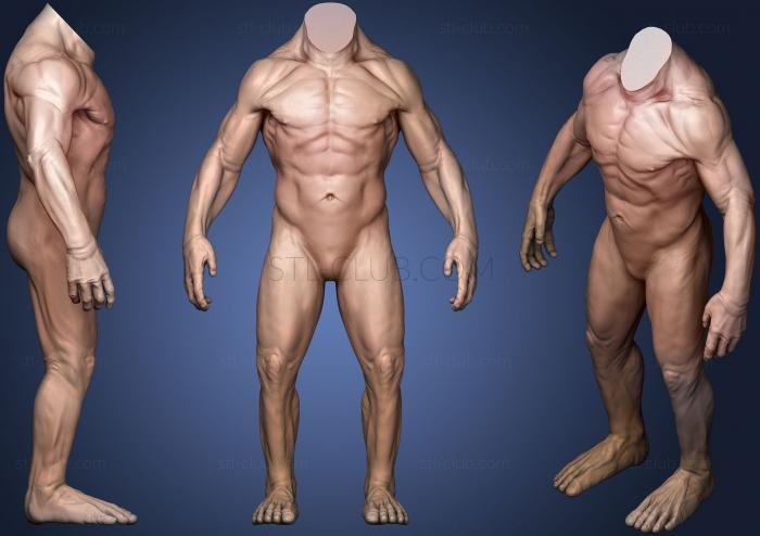 3D model Body Sculpt 12 (STL)